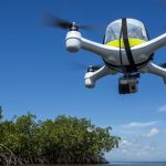 Drones and satellite imaging to make forest protection pay