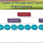 Types of Groups and Teams