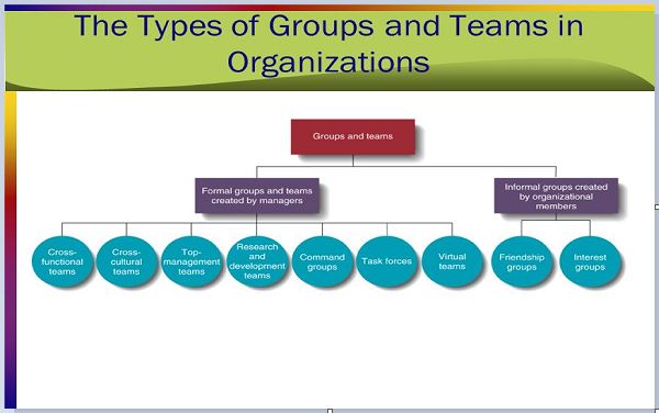 Types of Groups and Teams