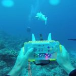 Fish-Like Robot Encapsulated by a Plastic Film