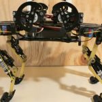 Muscle‐Like Compliance in Knee Articulations Improves Biped Robot Walkings