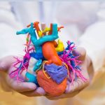3D-Printed Models Applied in Medical Research Studies