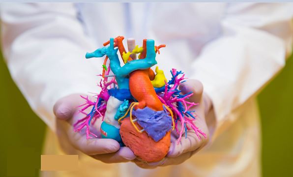 3D-Printed Models Applied in Medical Research Studies