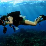 Underwater Photography and Videography